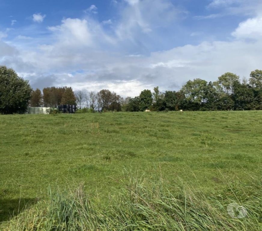 Terrains à vendre Gérouville - Photos Vivastreet 6769 Gérouville : terrain à batir, 18a 34ca.