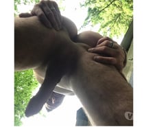 De retour nu pour vous!!!