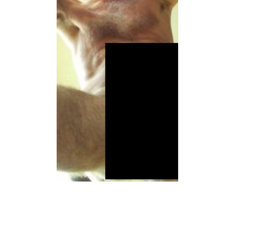 Gay Jambes Jambes-Centrum - Photos Vivastreet Queue XXL pour longue fellation