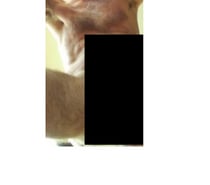 Queue XXL pour longue fellation