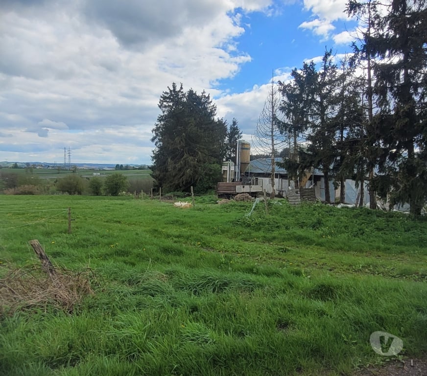 Terrains à vendre Houffalize Houffalize-Centrum - Photos Vivastreet Terrains à lotir