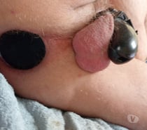 Reçoit actif à Gembloux