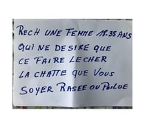 Recherche une femme pour lui lécher la chatte