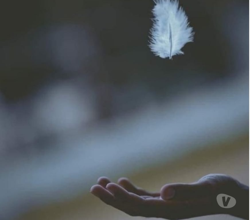 Escort Waterloo - Photos Vivastreet Massage tantrique