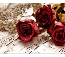 Rencontre femme pour sadomiser