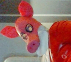 Gros cochon mature dispo pour jeune femme ou couple