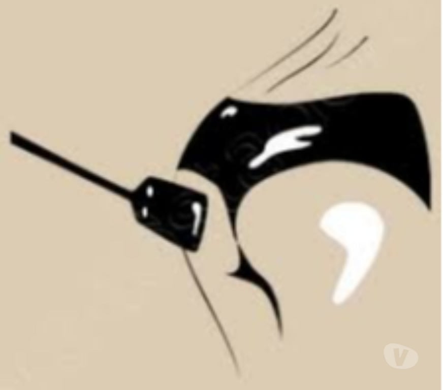 exhib Liège Liège-Centrum - Photos Vivastreet tu aimes obéir a genoux