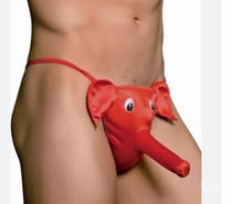 Je suce vos bites…