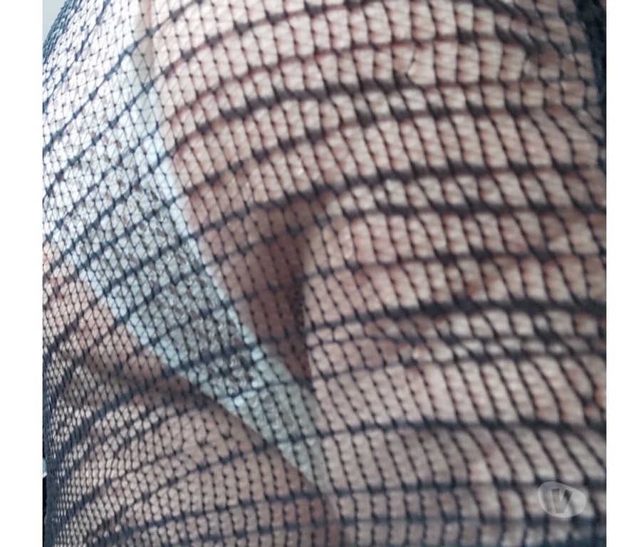 Gay Andenne - Photos Vivastreet hbi mature en lingerie pour hbi bi en lingerie ou travesti