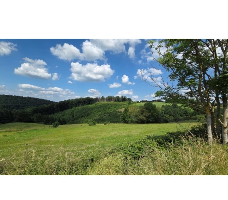 Terrains à vendre Amonines - Photos Vivastreet EREZEE : terrain à batir, 10a 13ca, vue magnifique.