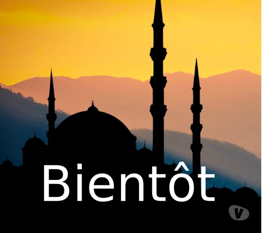 Gay Schaerbeek - Photos Vivastreet Bientôt la fin du Ramadan ... bientôt te vider !