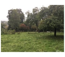 Photos Vivastreet Terrain à vendre à LONGLIER ( commune de NEUFCHATEAU )