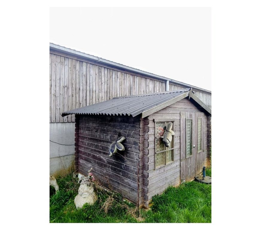  Paliseul Fays-les-Veneurs - Photos Vivastreet Abri de jardin (28mm)