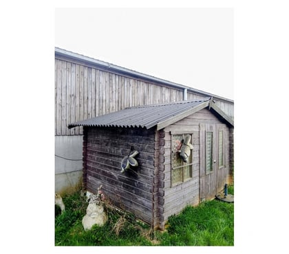 Bricolage - Jardin - Outillage Fays-les-Veneurs Paliseul - Photos Vivastreet Abri de jardin (28mm)