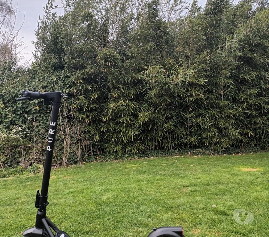 Matériel de sport Oupeye Haccourt - Photos Vivastreet Trottinette electrique Pure Air3