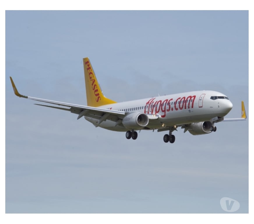 Gay Rixensart Genval - Photos Vivastreet Cherche senior Lope suceur,lecheur