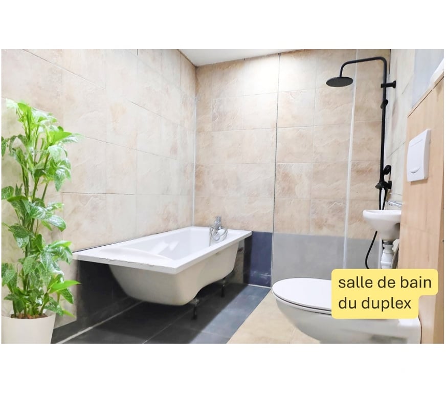 Immeuble à vendre France - Photos Vivastreet Maison de 4 appartement avec garage automatisé