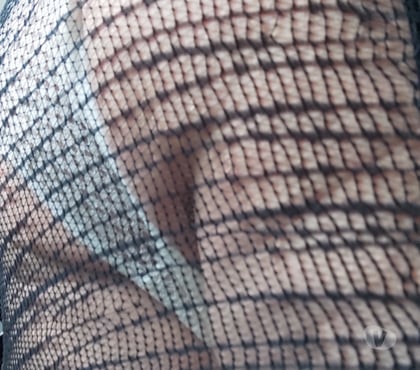 Gay - Photos Vivastreet H.69a rencontre hbi en lingerie ou travesti (bien lire)