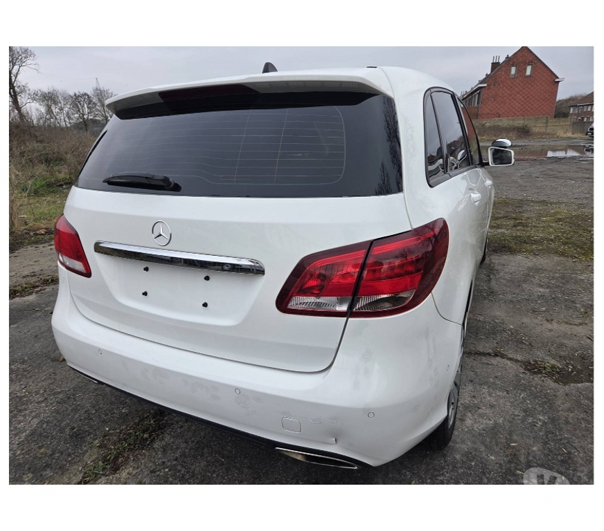Voiture à vendre Pont-de-Loup - Photos Vivastreet Mercedes B220cdi 2019 170cv 125kw Boite Auto, Airco, Cruise