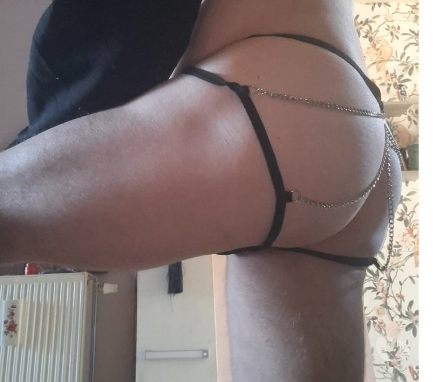 Gay Forest - Photos Vivastreet Vendredi soirée Week end es lundi de Pâques