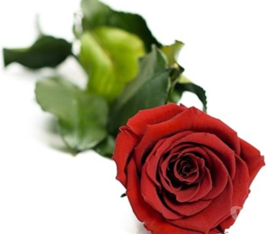 Gay Evere - Photos Vivastreet Vous avez envie de parler de vos envies, ...