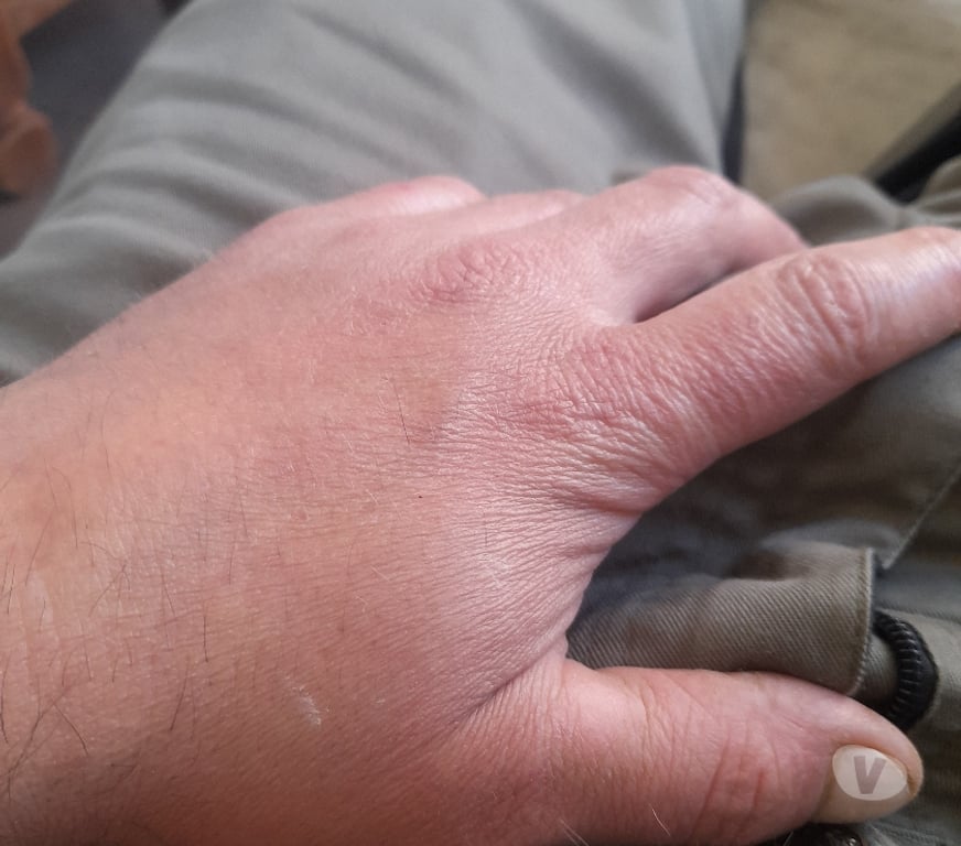 Gay Florenville Florenville-Centrum - Photos Vivastreet Jeudi je recois