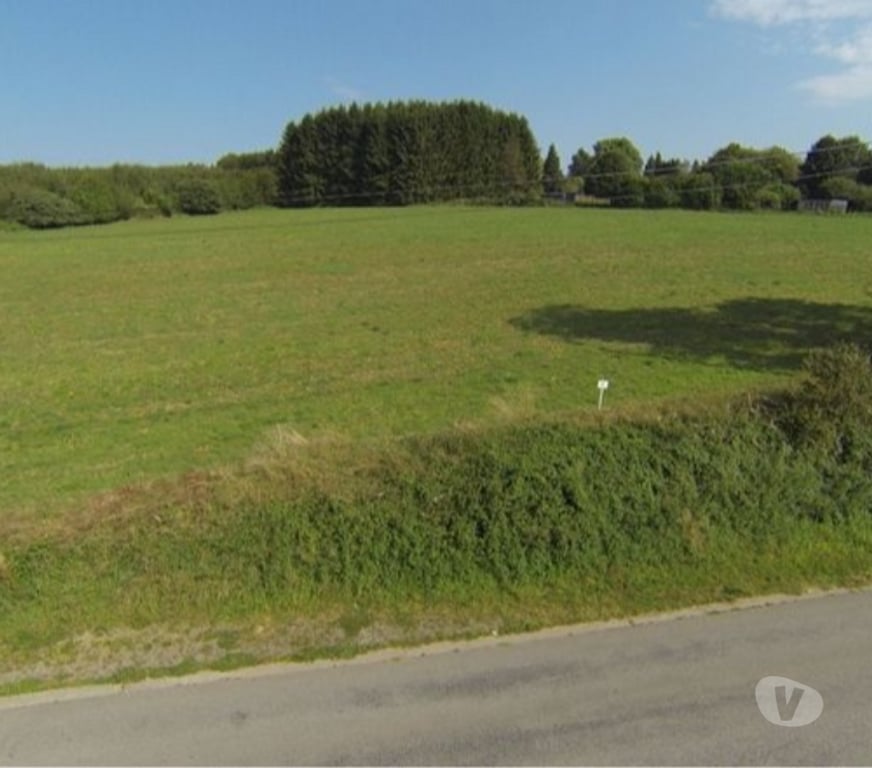 Terrains à vendre Couvin - Photos Vivastreet Magnifique terrain constructible