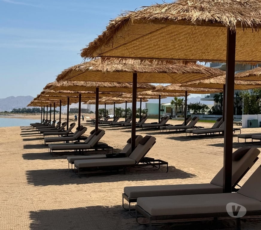 exhib Tournai Tournai-Centrum - Photos Vivastreet Homme agréable recherche moments d'évasion vers Tournai