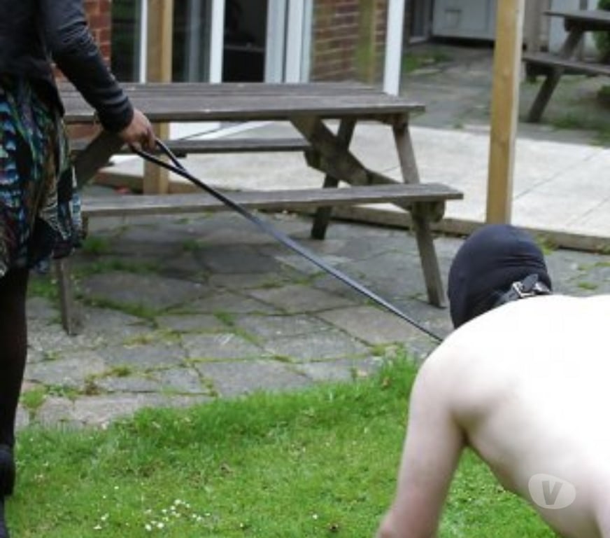 Gay Charleroi Charleroi-Centrum - Photos Vivastreet Père de famille bi mature à "male traiter"