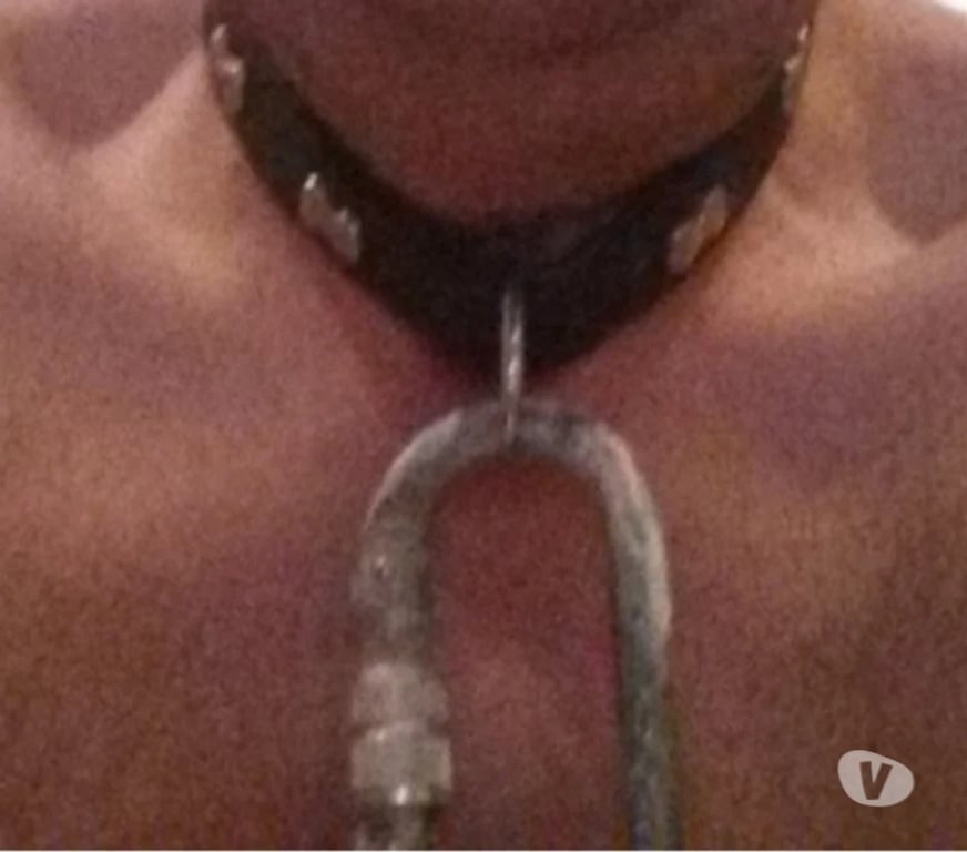 Gay Mons Cuesmes - Photos Vivastreet Cherche homme très très dominant pour plan sans tabou