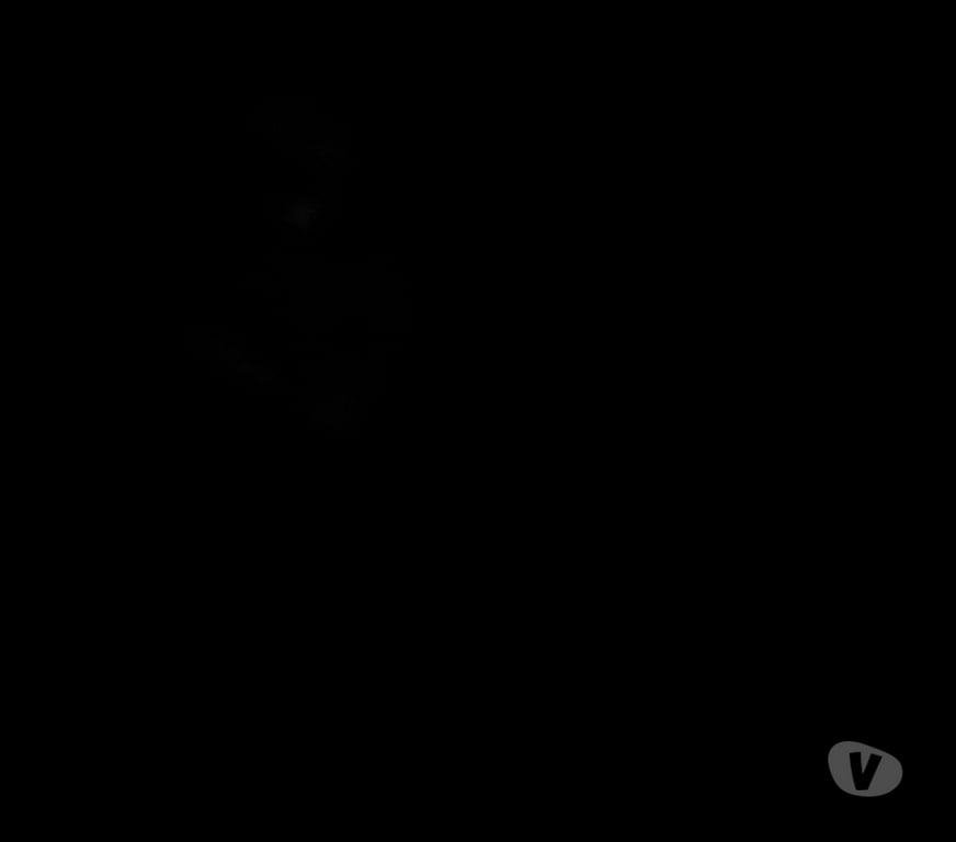 Gay Waterloo - Photos Vivastreet Cheval en rute aime soumi trans trav