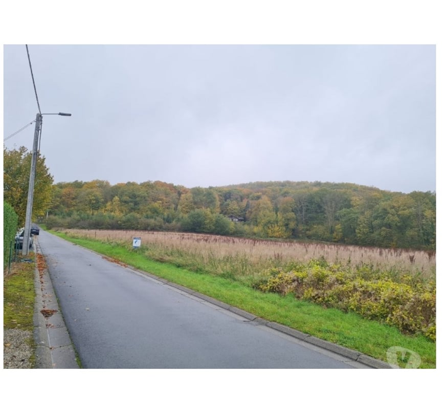 Terrains à vendre Hastière Agimont - Photos Vivastreet Agimont - Hastière : grandes parcelles de + - 55 ares.