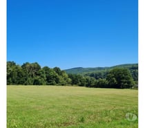 Photos Vivastreet Agimont - Hastière : grandes parcelles de + - 55 ares.