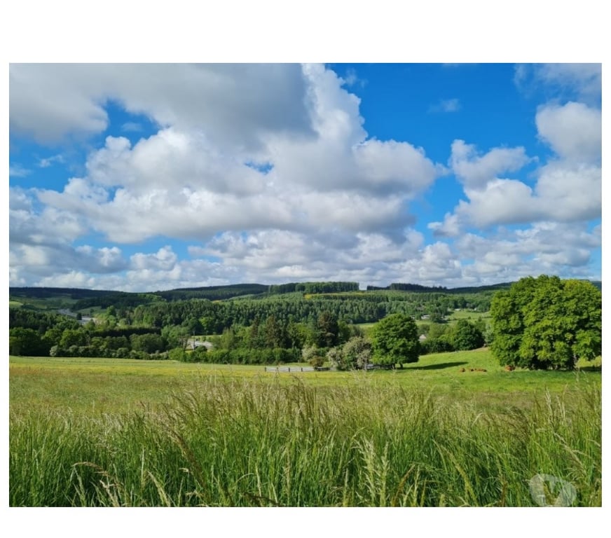 Terrains à vendre Tenneville Laneuville-au-Bois - Photos Vivastreet Ortheuville : terrain à batir, 11a 72ca, très belle vue.