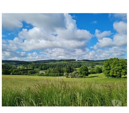 Terrains Laneuville-au-Bois Tenneville - Photos Vivastreet Ortheuville : terrain à batir, 11a 72ca, très belle vue.