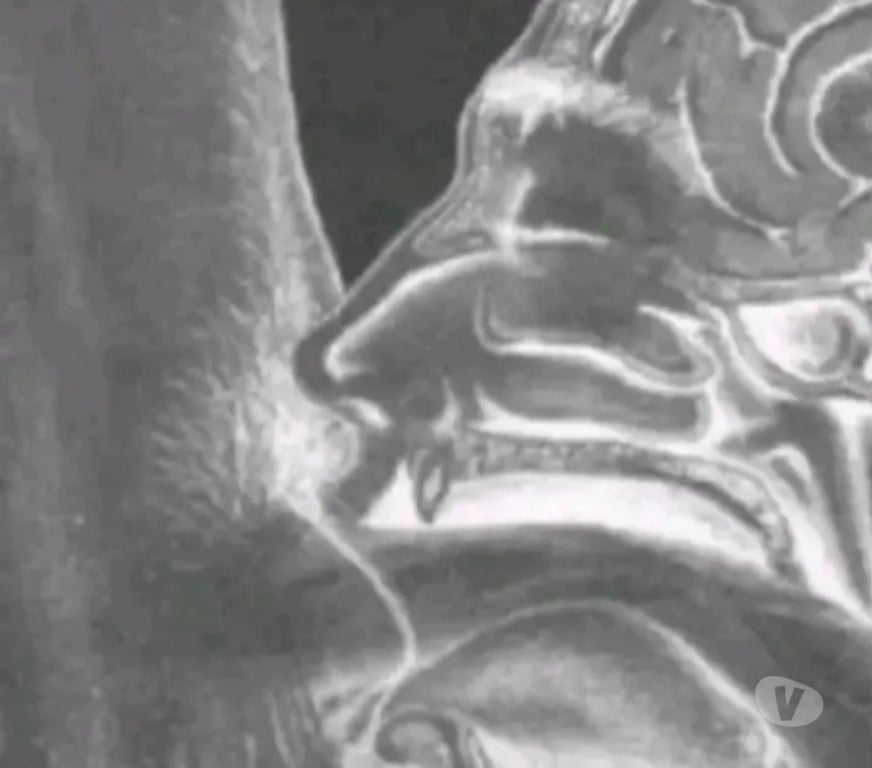 Gay Enines - Photos Vivastreet Chaud de m'en prendre 1 bonne bien profond