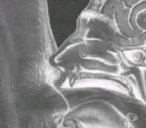 Chaud de m'en prendre 1 bonne bien profond