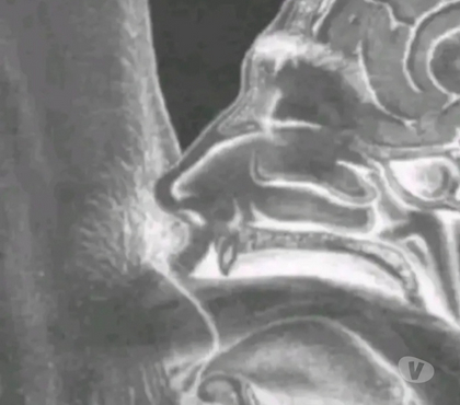 Gay - Photos Vivastreet Chaud de m'en prendre 1 bonne bien profond