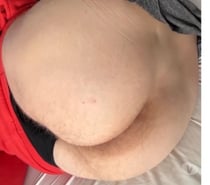 Chienne à rebeu black