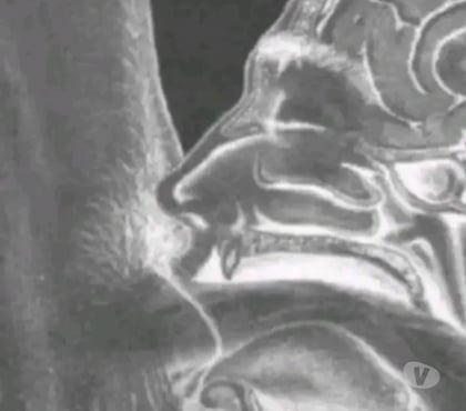 Gay - Photos Vivastreet Chaud de m'en prendre une bonne bien profond