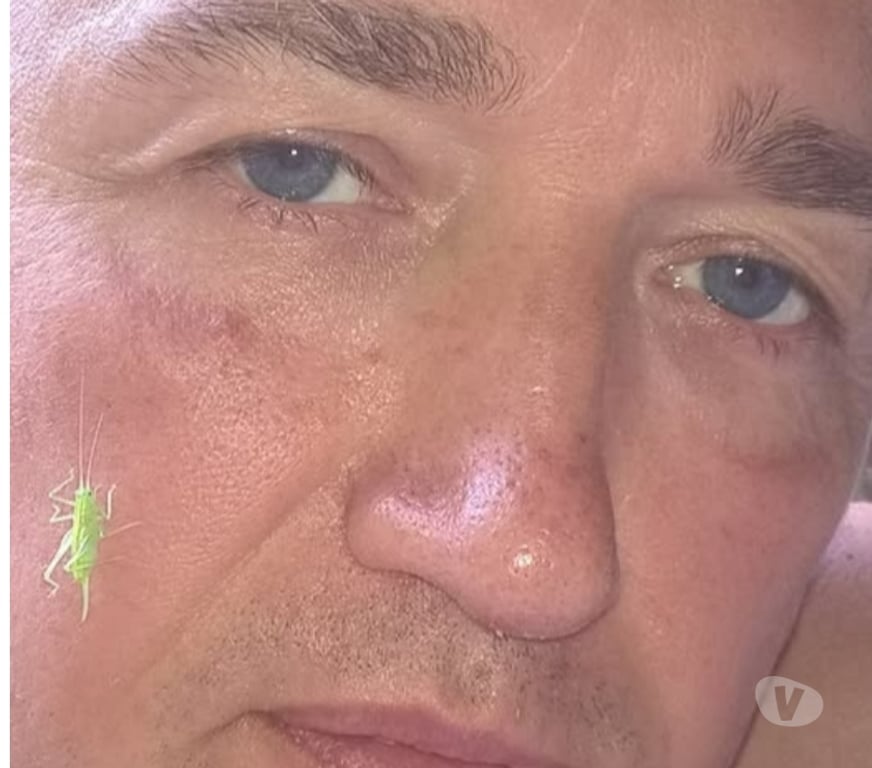 Gay Beauvechain - Photos Vivastreet cherchons un homme mature qui adore matter et meme diriger