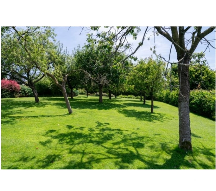 Annonce maison Bourseigne-Neuve - Photos Vivastreet Gedinne : magnifique propriété - maison, 5ch, piscine.