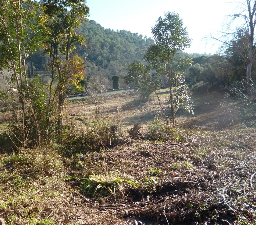 Terrains à vendre France - Photos Vivastreet GRAND TERRAIN CONSTRUCTIBLE ,cote d'azur