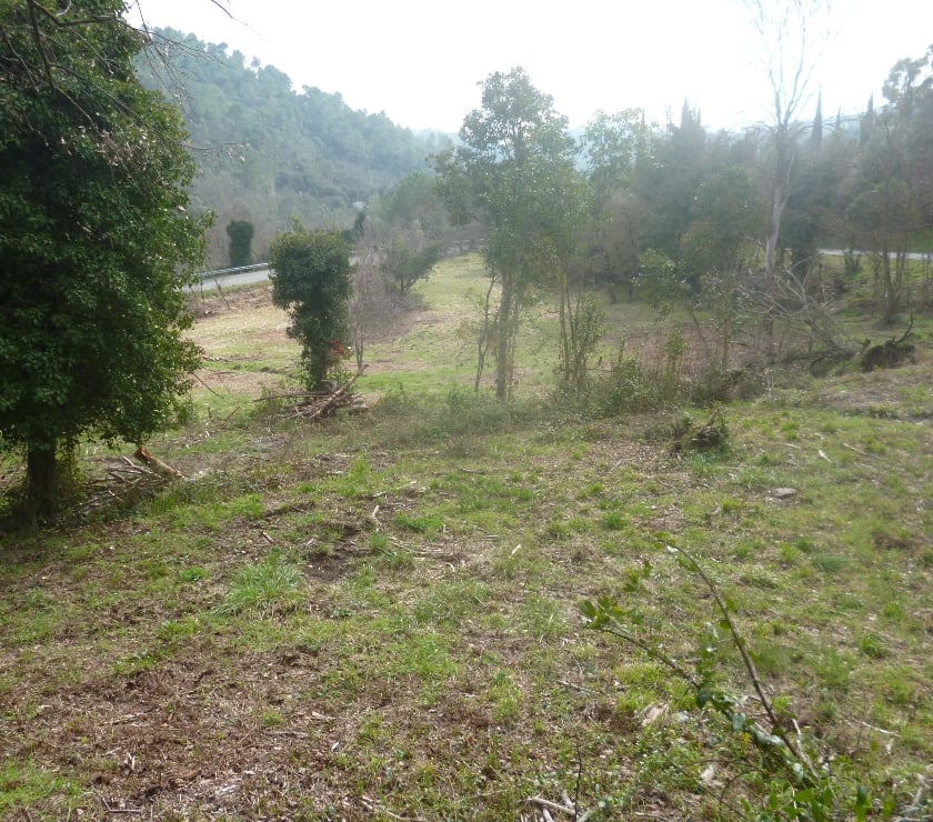 Terrains à vendre France - Photos Vivastreet GRAND TERRAIN CONSTRUCTIBLE ,cote d'azur