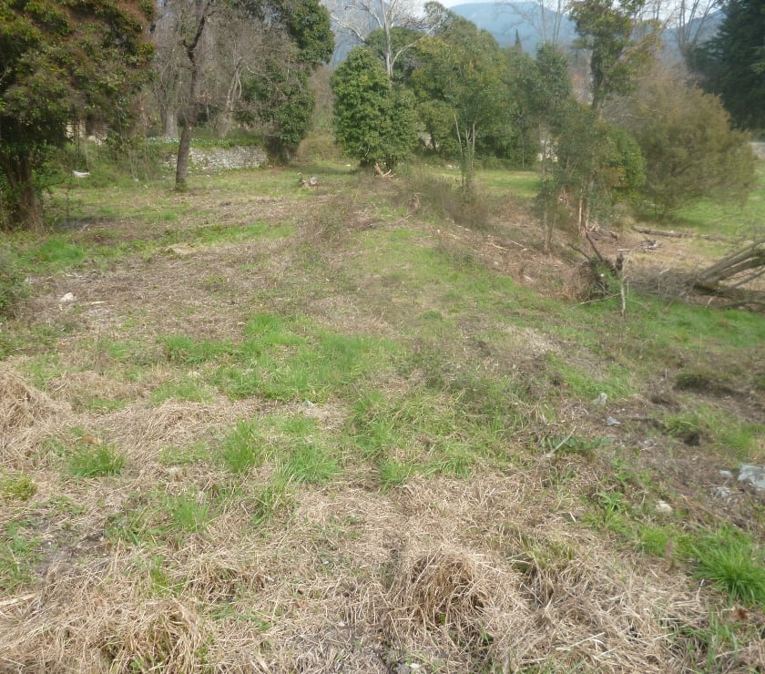 Terrains à vendre France - Photos Vivastreet GRAND TERRAIN CONSTRUCTIBLE ,cote d'azur