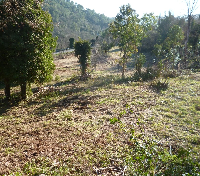 Terrains à vendre France - Photos Vivastreet GRAND TERRAIN CONSTRUCTIBLE ,cote d'azur