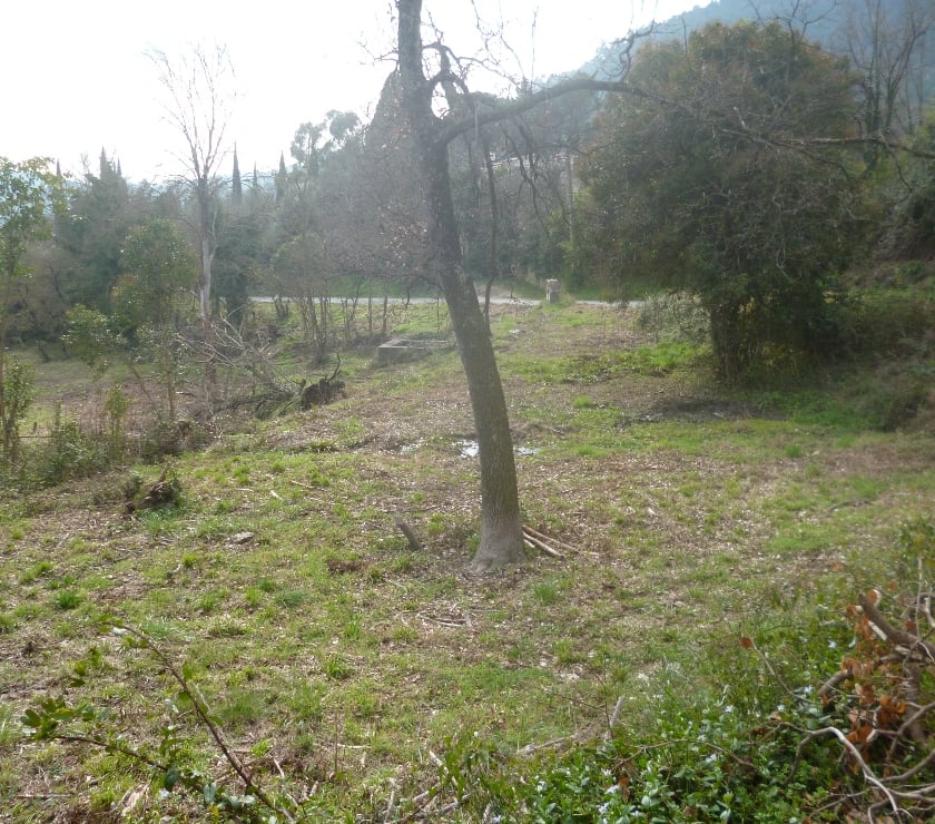 Terrains à vendre France - Photos Vivastreet GRAND TERRAIN CONSTRUCTIBLE ,cote d'azur