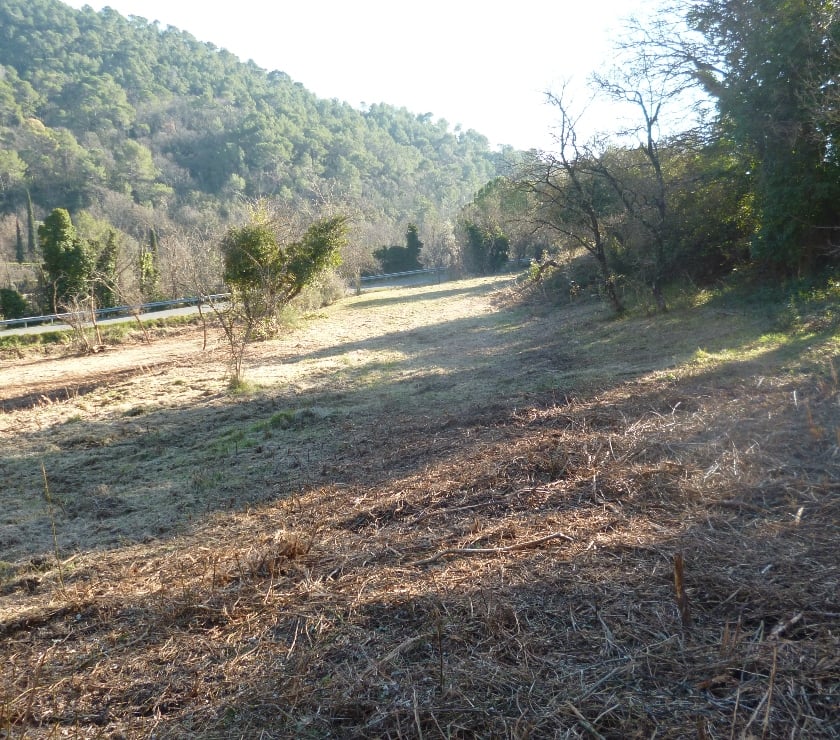 Terrains à vendre France - Photos Vivastreet GRAND TERRAIN CONSTRUCTIBLE ,cote d'azur
