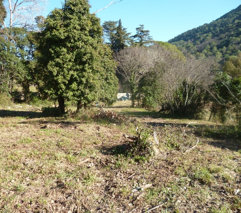 Terrains à vendre France - Photos Vivastreet GRAND TERRAIN CONSTRUCTIBLE ,cote d'azur