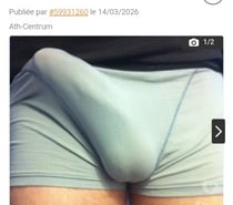 Recherche un passif cochon